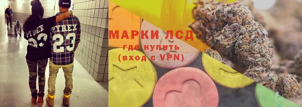PSILOCYBIN Медногорск