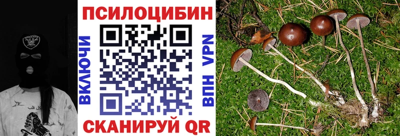Галлюциногенные грибы мухоморы Новомичуринск
